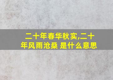 二十年春华秋实,二十年风雨沧桑 是什么意思